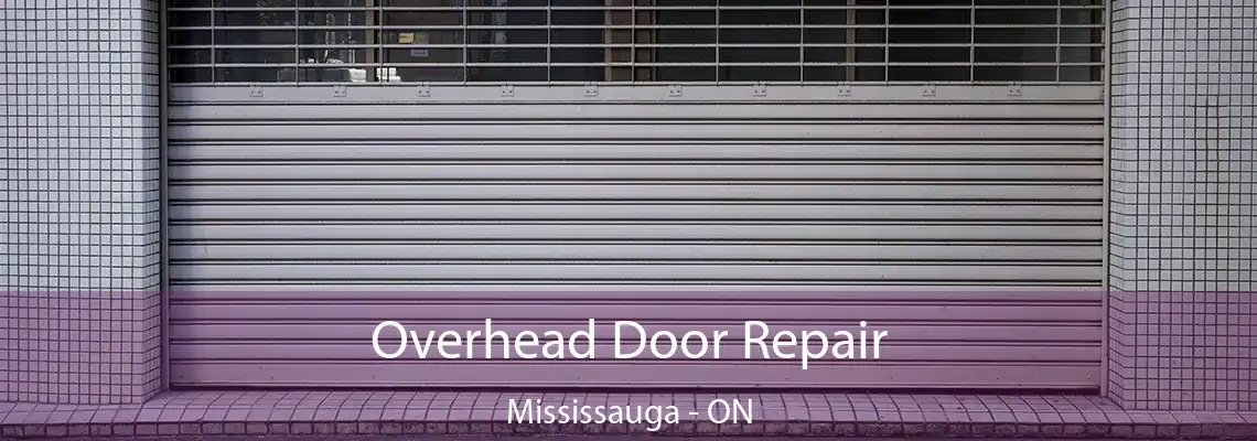 Overhead Door Repair Mississauga - ON